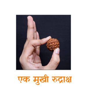 ek_mukhi_rudraksh